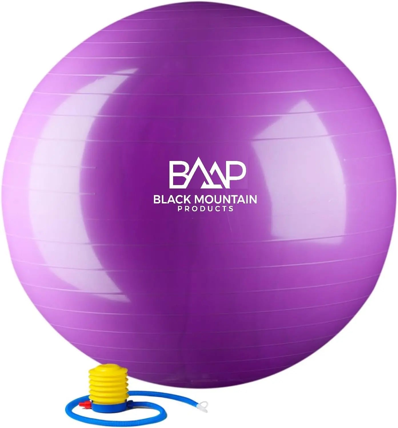 Exercise Stability Yoga Ball, Foot Pump, Ball Plug, Plug Puller, 2000 Lbs Static Weight Capacity Antiburst